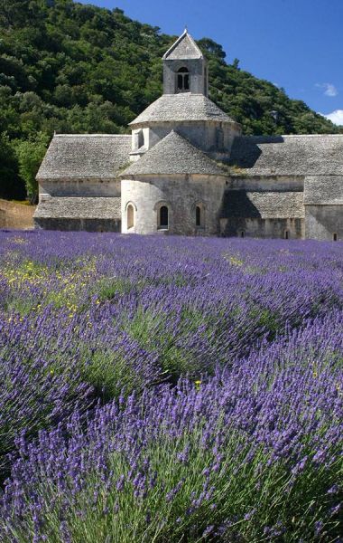 Photos Charming hotel Fontaine Vaucluse