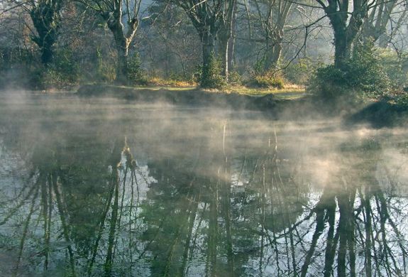 Riviere_sorgue