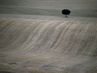 Hans Silvester photographe