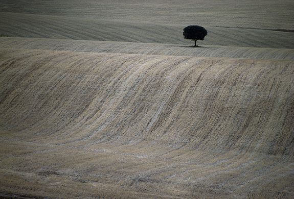 Hans Silvester photographe