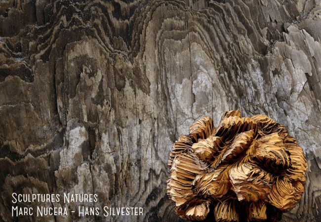 Marc Nucera & Hans Silvester