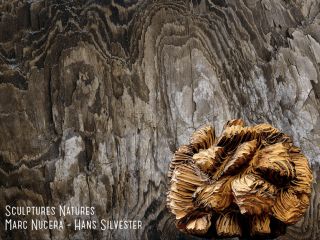 Marc Nucera & Hans Silvester