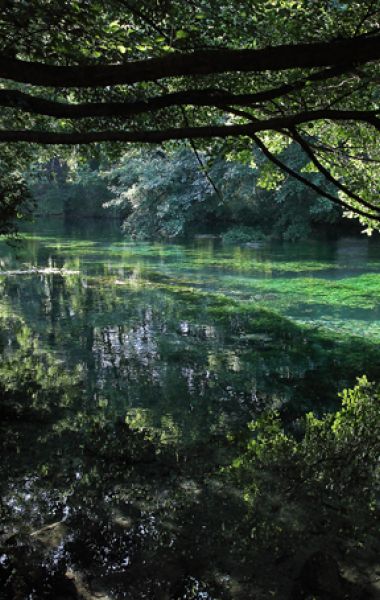 Galerie Isle sur la Sorgue
