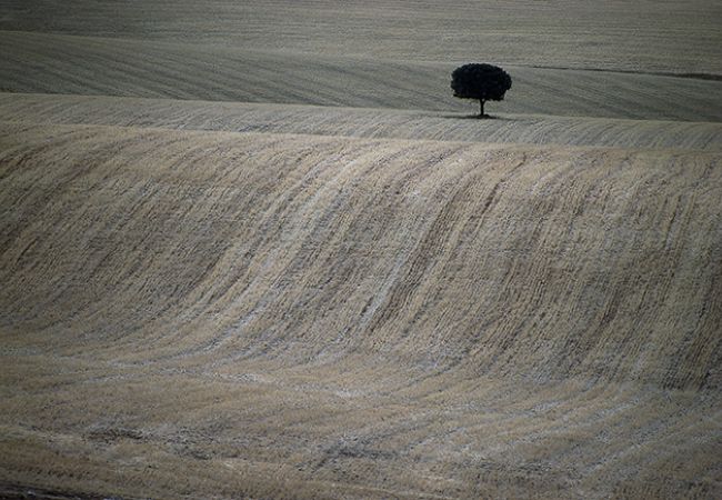 Hans Silvester photographe