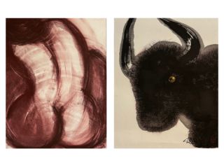 Exposition noirs taureaux, rouges Vénus
