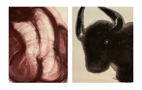 Exposition noirs taureaux, rouges Vénus